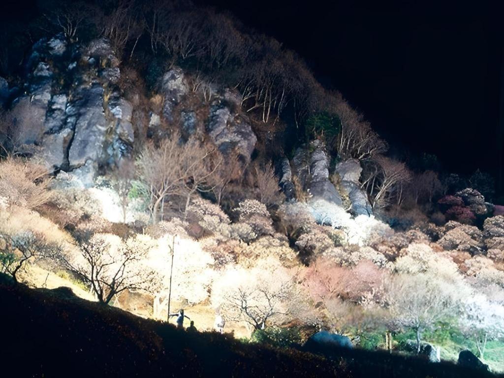 Corredor Yugawara Dog＆Resort Atami  Εξωτερικό φωτογραφία