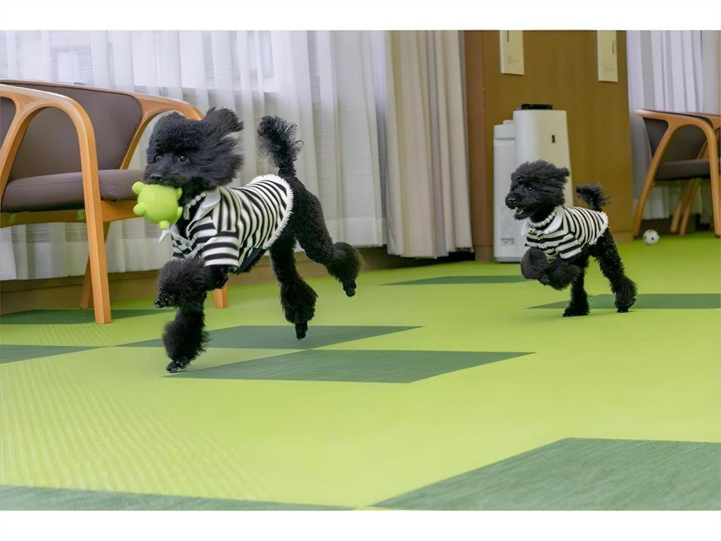 Corredor Yugawara Dog＆Resort Atami  Εξωτερικό φωτογραφία
