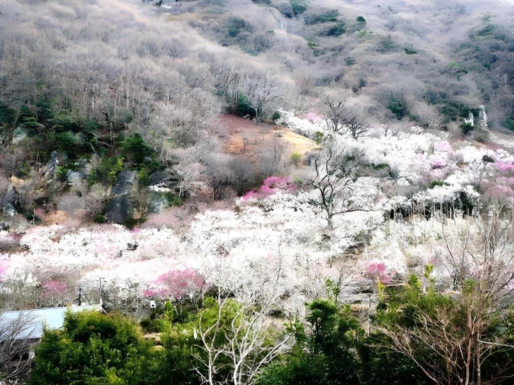 Corredor Yugawara Dog＆Resort Atami  Εξωτερικό φωτογραφία