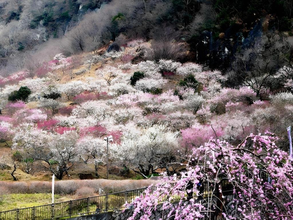 Corredor Yugawara Dog＆Resort Atami  Εξωτερικό φωτογραφία